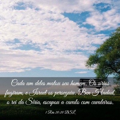 Picture 03 - 1 Reis 20:20 BSL - Cada um deles matou seu homem. Os sírios - Bible Verse Picture