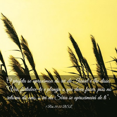 Picture 03 - 1 Reis 20:22 BSL - O profeta se aproximou do rei de Israel e lhe - Bible Verse Picture