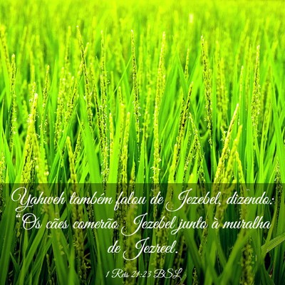 Picture 03 - 1 Reis 21:23 BSL - Yahweh também falou de Jezebel, dizendo: “Os - Bible Verse Picture