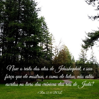 Picture 03 - 1 Reis 22:45 BSL - Now o resto dos atos de Jehoshaphat, e sua força - Bible Verse Picture