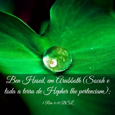 Picture 03 - 1 Reis 4:10 BSL - Ben Hesed, em Arubboth (Socoh e toda a terra de - Bible Verse Picture