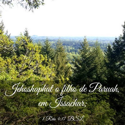 Picture 03 - 1 Reis 4:17 BSL - Jehoshaphat o filho de Paruah, em - Bible Verse Picture