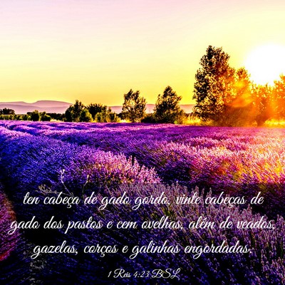 Picture 03 - 1 Reis 4:23 BSL - ten cabeça de gado gordo, vinte cabeças de gado - Bible Verse Picture