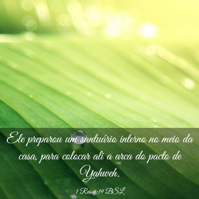 Picture 03 - 1 Reis 6:19 BSL - Ele preparou um santuário interno no meio da - Bible Verse Picture