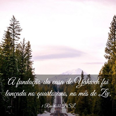 Picture 03 - 1 Reis 6:37 BSL - A fundação da casa de Yahweh foi lançada no - Bible Verse Picture