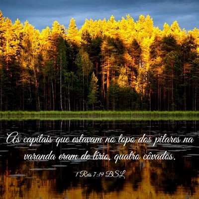 Picture 03 - 1 Reis 7:19 BSL - As capitais que estavam no topo dos pilares na - Bible Verse Picture