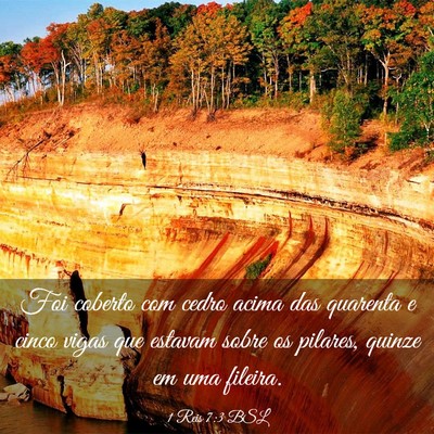 Picture 03 - 1 Reis 7:3 BSL - Foi coberto com cedro acima das quarenta e cinco - Bible Verse Picture