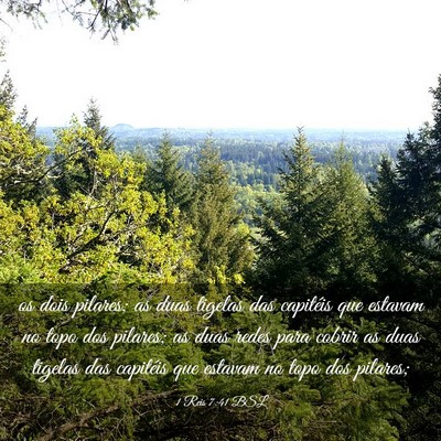 Picture 03 - 1 Reis 7:41 BSL - os dois pilares; as duas tigelas das capitéis - Bible Verse Picture