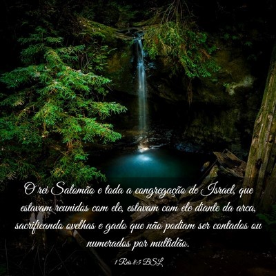 Picture 03 - 1 Reis 8:5 BSL - O rei Salomão e toda a congregação de Israel, - Bible Verse Picture