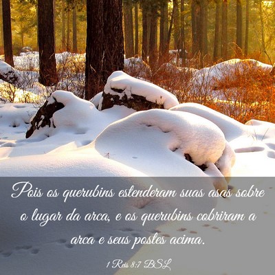 Picture 03 - 1 Reis 8:7 BSL - Pois os querubins estenderam suas asas sobre o - Bible Verse Picture