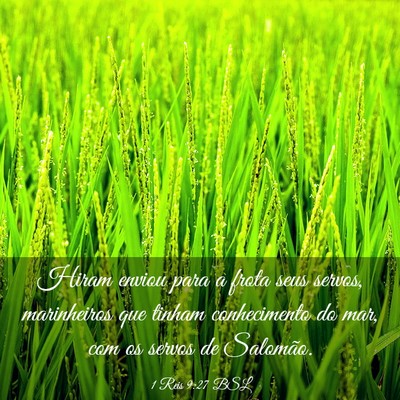 Picture 03 - 1 Reis 9:27 BSL - Hiram enviou para a frota seus servos, - Bible Verse Picture
