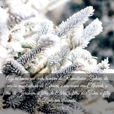 Picture 03 - 1 Samuel 1:1 BSL - Agora havia um certo homem de Ramathaim Zophim, - Bible Verse Picture
