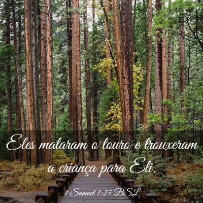 Picture 03 - 1 Samuel 1:25 BSL - Eles mataram o touro e trouxeram a criança para - Bible Verse Picture