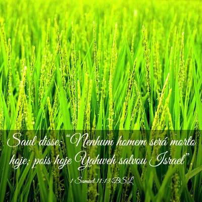 Picture 03 - 1 Samuel 11:13 BSL - Saul disse: “Nenhum homem será morto hoje; - Bible Verse Picture