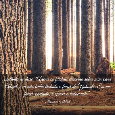 Picture 03 - 1 Samuel 13:12 BSL - portanto eu disse: 'Agora os filisteus descerão - Bible Verse Picture