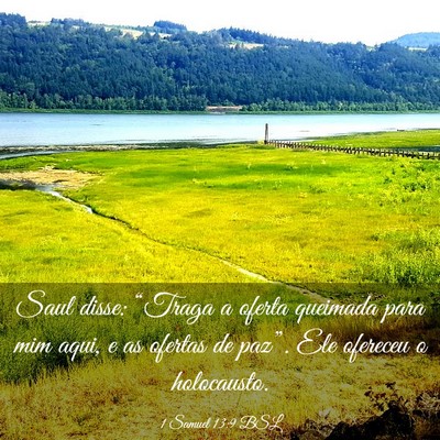Picture 03 - 1 Samuel 13:9 BSL - Saul disse: “Traga a oferta queimada para mim - Bible Verse Picture