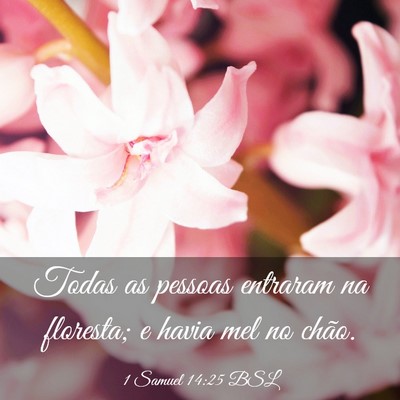 Picture 03 - 1 Samuel 14:25 BSL - Todas as pessoas entraram na floresta; e havia - Bible Verse Picture