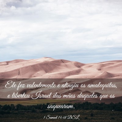 Picture 03 - 1 Samuel 14:48 BSL - Ele fez valentemente e atingiu os amalequitas, e - Bible Verse Picture