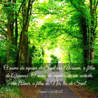 Picture 03 - 1 Samuel 14:50 BSL - O nome da esposa de Saul era Ahinoam, a filha de - Bible Verse Picture