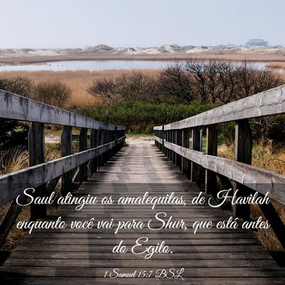 Picture 03 - 1 Samuel 15:7 BSL - Saul atingiu os amalequitas, de Havilah enquanto - Bible Verse Picture