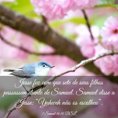 Picture 03 - 1 Samuel 16:10 BSL - Jesse fez com que sete de seus filhos passassem - Bible Verse Picture