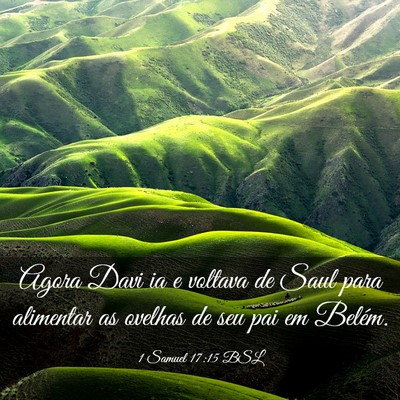 Picture 03 - 1 Samuel 17:15 BSL - Agora Davi ia e voltava de Saul para alimentar as - Bible Verse Picture