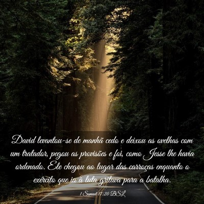 Picture 03 - 1 Samuel 17:20 BSL - David levantou-se de manhã cedo e deixou as - Bible Verse Picture