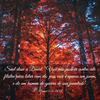 Picture 03 - 1 Samuel 17:33 BSL - Saul disse a David: “Você não pode ir contra - Bible Verse Picture
