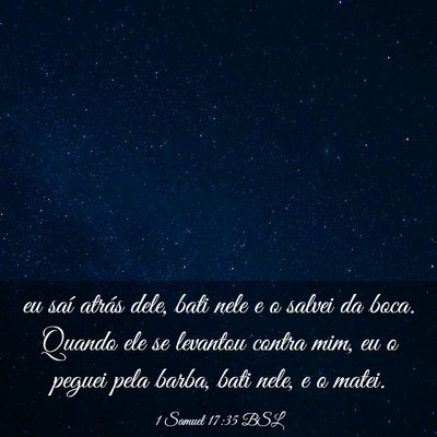 Picture 03 - 1 Samuel 17:35 BSL - eu saí atrás dele, bati nele e o salvei da - Bible Verse Picture