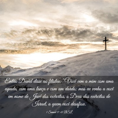 Picture 03 - 1 Samuel 17:45 BSL - Então David disse ao filisteu: “Você vem a - Bible Verse Picture