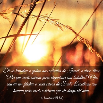 Picture 03 - 1 Samuel 17:8 BSL - Ele se levantou e gritou aos exércitos de - Bible Verse Picture