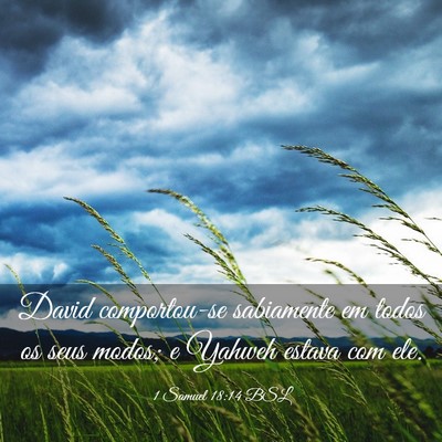 Picture 03 - 1 Samuel 18:14 BSL - David comportou-se sabiamente em todos os seus - Bible Verse Picture