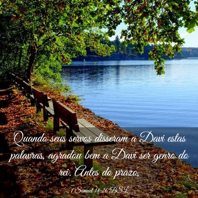 Picture 03 - 1 Samuel 18:26 BSL - Quando seus servos disseram a Davi estas - Bible Verse Picture