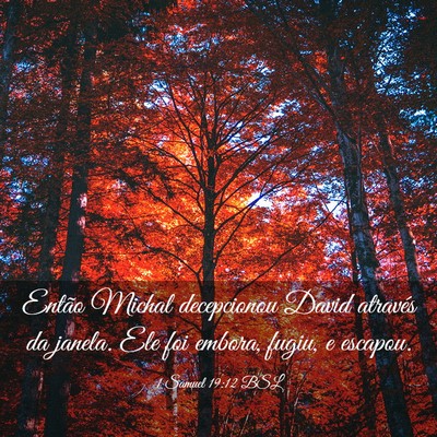 Picture 03 - 1 Samuel 19:12 BSL - Então Michal decepcionou David através da - Bible Verse Picture