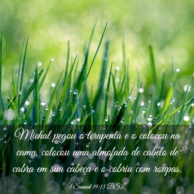 Picture 03 - 1 Samuel 19:13 BSL - Michal pegou o terapeuta e o colocou na cama, - Bible Verse Picture