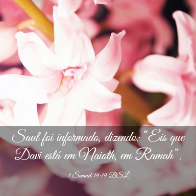 Picture 03 - 1 Samuel 19:19 BSL - Saul foi informado, dizendo: “Eis que Davi - Bible Verse Picture