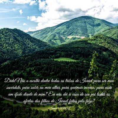 Picture 03 - 1 Samuel 2:28 BSL - Didn'Não o escolhi dentre todas as tribos de - Bible Verse Picture
