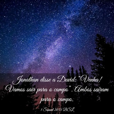 Picture 03 - 1 Samuel 20:11 BSL - Jonathan disse a David: “Venha! Vamos sair para - Bible Verse Picture