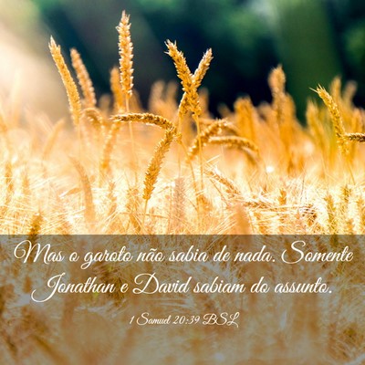 Picture 03 - 1 Samuel 20:39 BSL - Mas o garoto não sabia de nada. Somente Jonathan - Bible Verse Picture