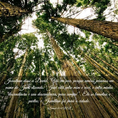 Picture 03 - 1 Samuel 20:42 BSL - Jonathan disse a David: “Vá em paz, porque - Bible Verse Picture