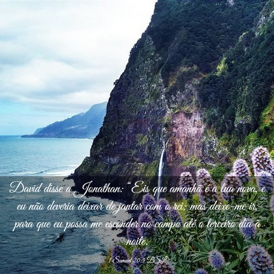 Picture 03 - 1 Samuel 20:5 BSL - David disse a Jonathan: “Eis que amanhã é a - Bible Verse Picture