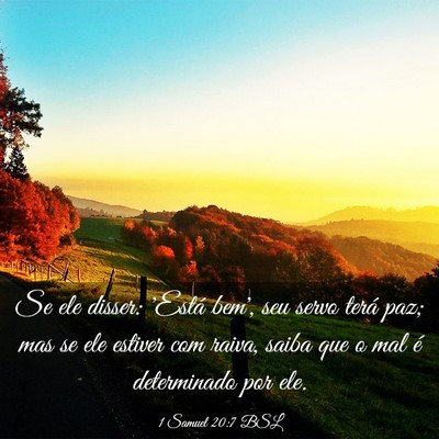 Picture 03 - 1 Samuel 20:7 BSL - Se ele disser: 'Está bem', seu servo terá paz; - Bible Verse Picture