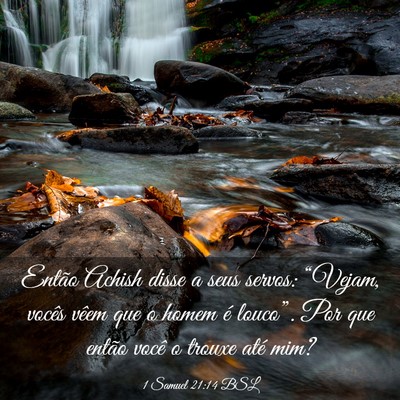 Picture 03 - 1 Samuel 21:14 BSL - Então Achish disse a seus servos: “Vejam, - Bible Verse Picture