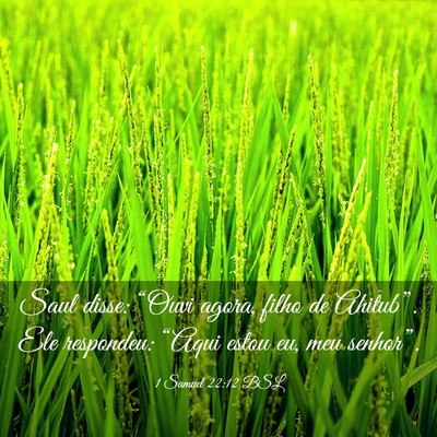 Picture 03 - 1 Samuel 22:12 BSL - Saul disse: “Ouvi agora, filho de Ahitub”. - Bible Verse Picture