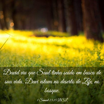 Picture 03 - 1 Samuel 23:15 BSL - David viu que Saul tinha saído em busca de sua - Bible Verse Picture