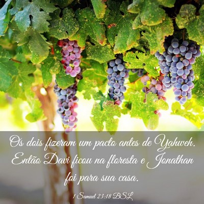 Picture 03 - 1 Samuel 23:18 BSL - Os dois fizeram um pacto antes de Yahweh. Então - Bible Verse Picture
