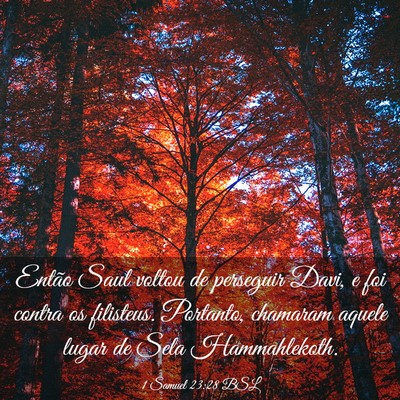 Picture 03 - 1 Samuel 23:28 BSL - Então Saul voltou de perseguir Davi, e foi - Bible Verse Picture