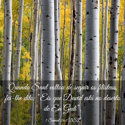 Picture 03 - 1 Samuel 24:1 BSL - Quando Saul voltou de seguir os filisteus, - Bible Verse Picture