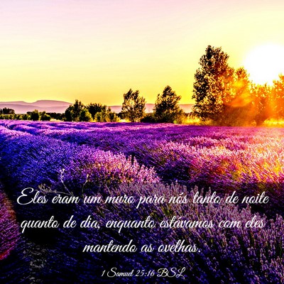 Picture 03 - 1 Samuel 25:16 BSL - Eles eram um muro para nós tanto de noite quanto - Bible Verse Picture