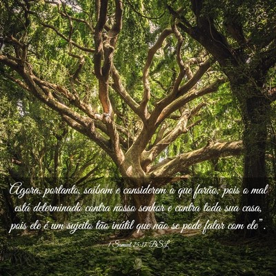 Picture 03 - 1 Samuel 25:17 BSL - Agora, portanto, saibam e considerem o que - Bible Verse Picture